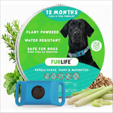 FurLife Blue Dog Tag on collar showing daily lightweight protection.