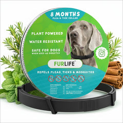 FurLife flea and tick collar for dogs, waterproof for outdoor adventures.