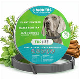 FurLife flea and tick collar for dogs is waterproof and grey for all-weather wear.