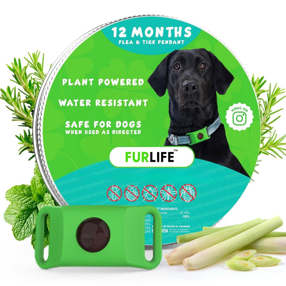 FurLife green dog tag pendant clipped to a collar for secure daily wear