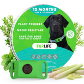 FurLife green dog tag pendant clipped to a collar for secure daily wear
