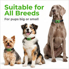 FurLife ultra-lightweight tag fits dogs of all sizes comfortably.