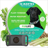 FurLife Grey Dog Tag waterproof pendant on a collar for all-season wear.
