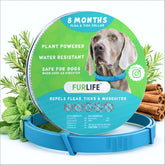 FurLife waterproof blue dog collar for all-weather use