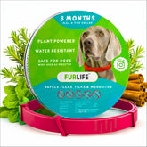 FurLife waterproof dog collar closeup showing durable buckle and all-breed suitability.