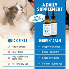 Furpect Keepin' Calm drops dropper and dosing scene for precise pet administration.