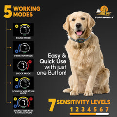 FURR BUNNY bark collar sensors closeup showing dual detection to prevent false triggers.