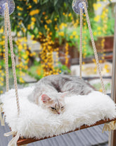 Furrfinity Cat Hammock with solid pine seat provides a sturdy resting spot for your cat.