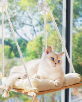 Furrfinity cat window perch wood frame provides a sturdy resting spot.