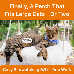 Furrfinity cushioned hammock bed provides cozy naps