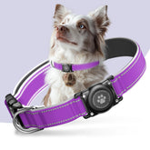 Furrigo AirTag dog collar with secure holder for confident tracking