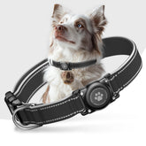 Furrigo AirTag dog collar with secure screw mechanism for active dogs on walks.