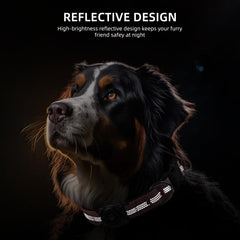 Soft padded interior of the Furrigo AirTag dog collar for comfort