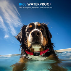 Furrigo AirTag dog collar waterproof and dustproof protects the tracker during outdoor play.