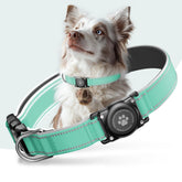 Furrigo AirTag dog collar in Aqua, waterproof design protecting the tracker during play