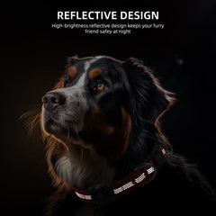 Furrigo reflective stitching enhances nighttime visibility for safer evening walks