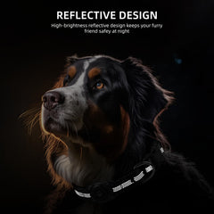 Reflective stitching on the collar improves nighttime visibility