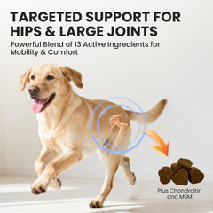Furry Armor soft chews close-up show tasty daily joint care for active dogs.