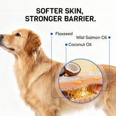 FURRY ARMOR probiotics bottle demonstrates gut-friendly balancing effects.