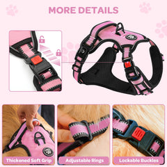 FURRYFECTION plaid harness back-clip shown with leash for daily outings.