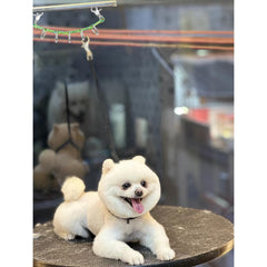 FURSDOLY grooming loops with five D-rings for versatile attachment options
