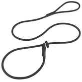 FURSDOLY Slip Lead Leash shows strong nylon rope for reliable daily walks and training.