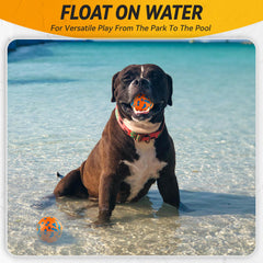 FUSOTO dog ball orange β high-contrast colors for quick grabbing.
