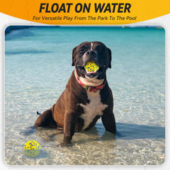 FUSOTO water-floating dog ball for pool and beach play