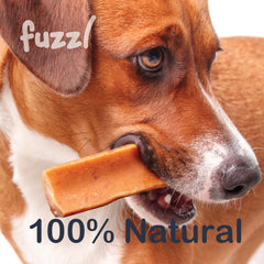 Dog enjoying Fuzzl Yak Chews with Blueberry as a dental-friendly option.