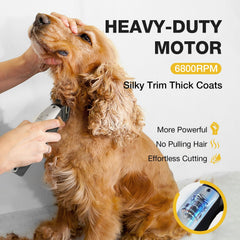 FuzzyFix clippers tackle thick coats with efficient, precise cuts.
