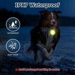 Fyorbietail dog light offers three modes with memory for easy night walks.