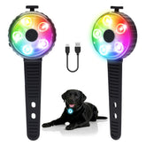 Fyorbietail dog light with flower-design increases visibility during night walks.