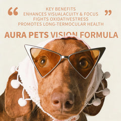 FYRKOA Aura Pets vision formula with plant-based ingredients for dogs