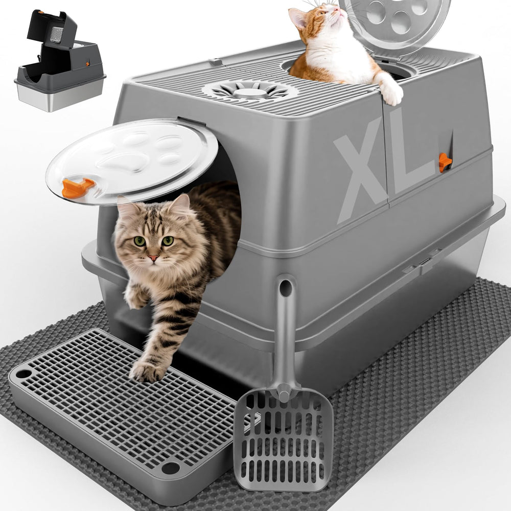 FZGhome XL stainless steel litter box with lid and top-entry design reduces mess.