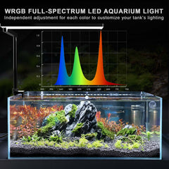 FZONE Solo Series app interface enables precise brightness and color control.