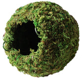 Galapagos Mossy Cave Hide 6-inch green corner retreat for terrariums.