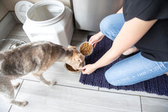 Gamma2 Vittles Vault BPA-free plastic highlights safe, durable material.
