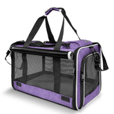 GAPZER Yorkie travel carrier in purple showing compact and versatile transport