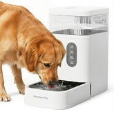Gardner Pet 2.2-gallon water bowl dispenser with gravity-fed system for stable hydration.