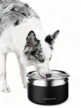 Gardner Pet 1-gallon dog bowl in stainless steel for durable daily hydration