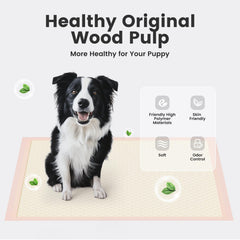 Gardner Pet six-layer core pad offers extra thick absorbency for busy puppies.