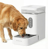 Gardner Pet gravity water feeder shows 6.5L capacity for steady hydration.