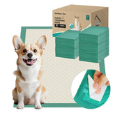 Gardner Pet pee pad with adhesive tape provides secure grip and clean removal for busy households.