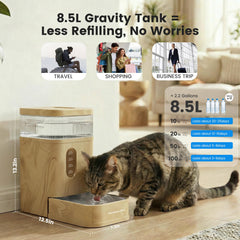 Gardner Pet stainless steel bowl detail showing durability and easy cleaning
