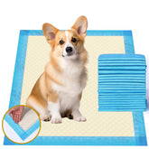 Gardner Pet ultra absorbent 22x22 pad with edge wrap for secure training