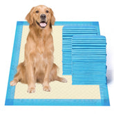 Gardner Pet ultra-absorbent pad 28x34 blue for quick absorption keeps paws dry