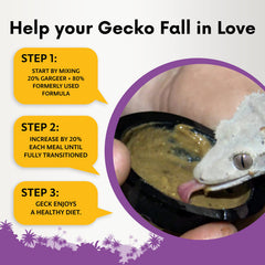 Gargeer gecko diet scoop measuring spoon for precise portions.