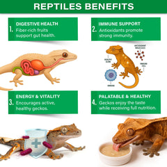 Serving bowl of Rainforest Mist ready for daily gecko feeding.