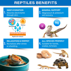 Gargeer ReptiSoak bearded dragon bath shows hydration and recovery support.