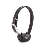 Garmin BarkLimiter Deluxe collar on dog for gentle, controlled training sessions.
